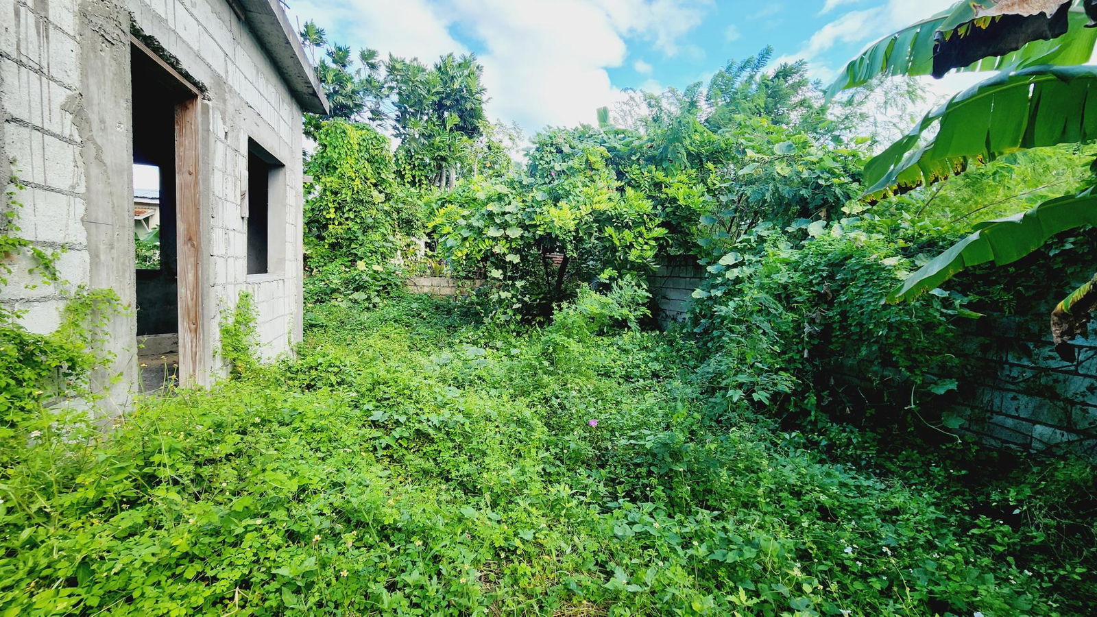 Eleventh image of 13 Allen Crescent, Lower Wor in Black River, St. Elizabeth, Jamaica - property is For Sale
