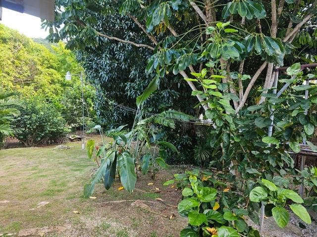 Fourth image of Coral Gardens Avenue in Montego Bay, St. James, Jamaica - property is For Sale