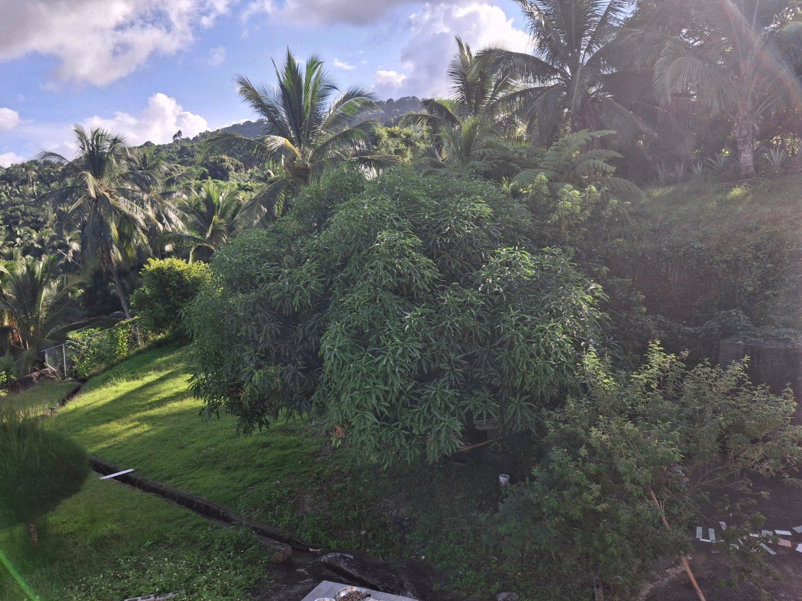 Twelfth image of St. Margret's Bay in St. Margaret's Bay, Portland, Jamaica - property is For Sale