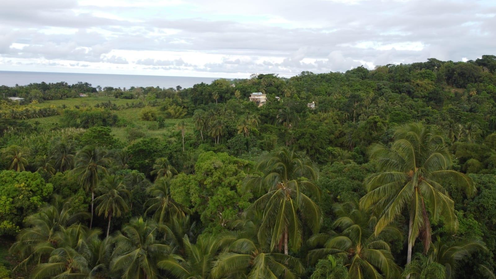 Twenty-Third image of St. Margret's Bay in St. Margaret's Bay, Portland, Jamaica - property is For Sale