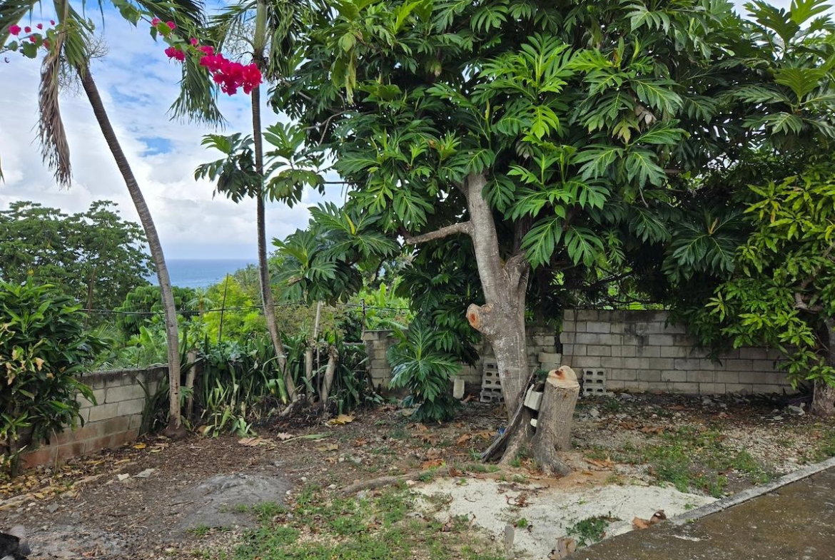 Thirteenth image of 5 Hopewell Hanover in Hopewell, Hanover, Jamaica - property is For Sale