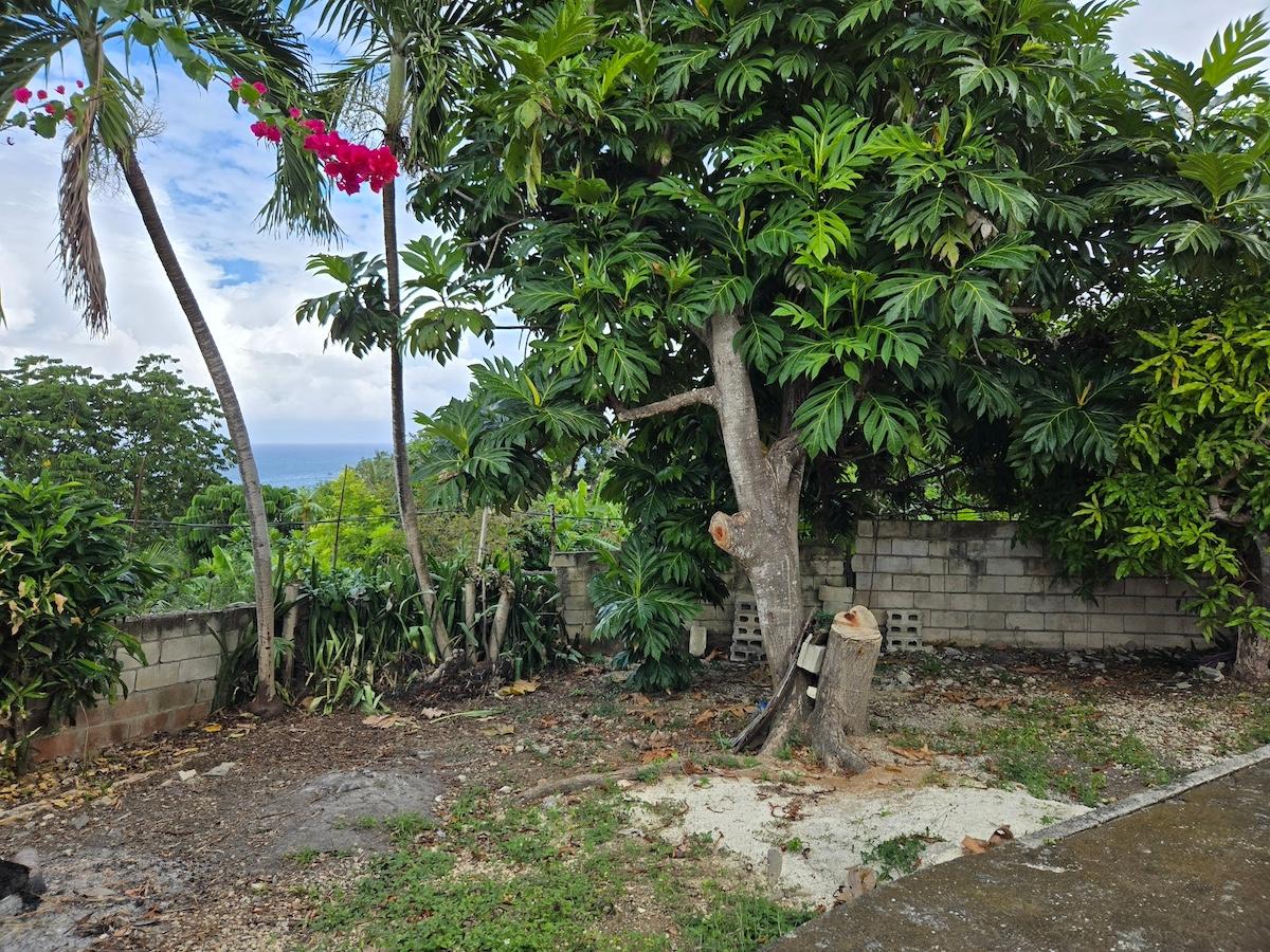 Thirteenth image of 5 Hopewell Hanover in Hopewell, Hanover, Jamaica - property is For Sale