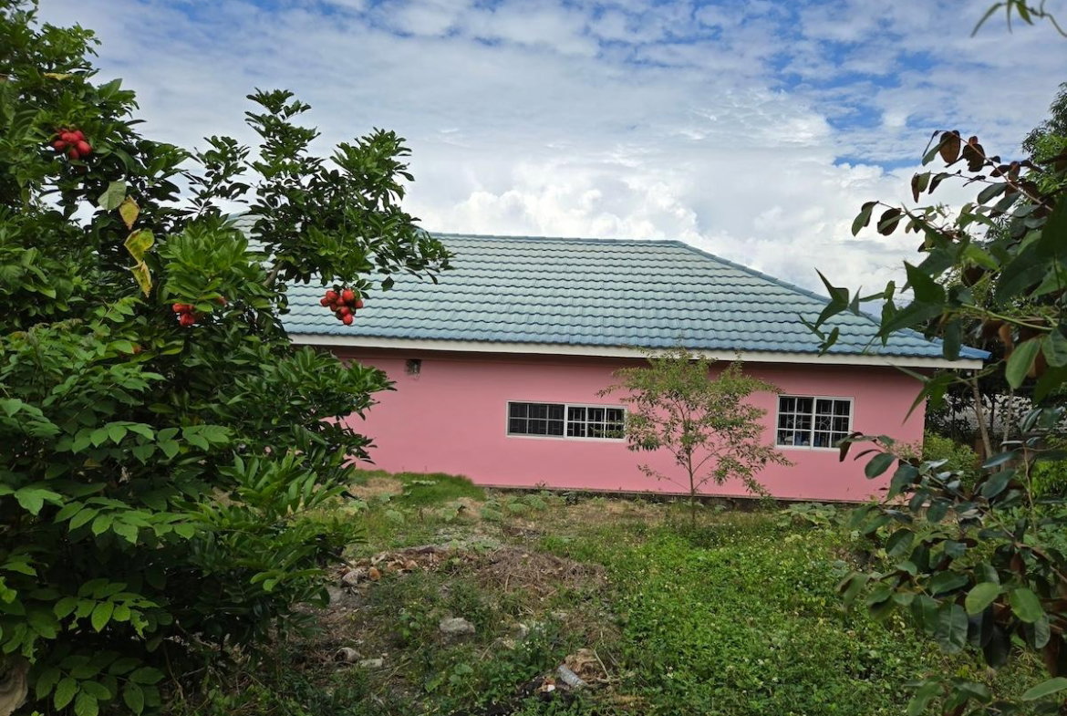 Fifteenth image of 5 Hopewell Hanover in Hopewell, Hanover, Jamaica - property is For Sale