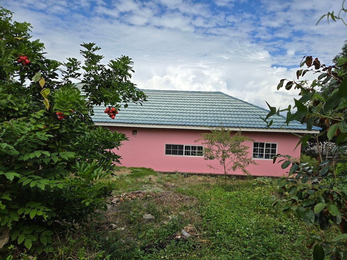 Fifteenth image of 5 Hopewell Hanover in Hopewell, Hanover, Jamaica - property is For Sale