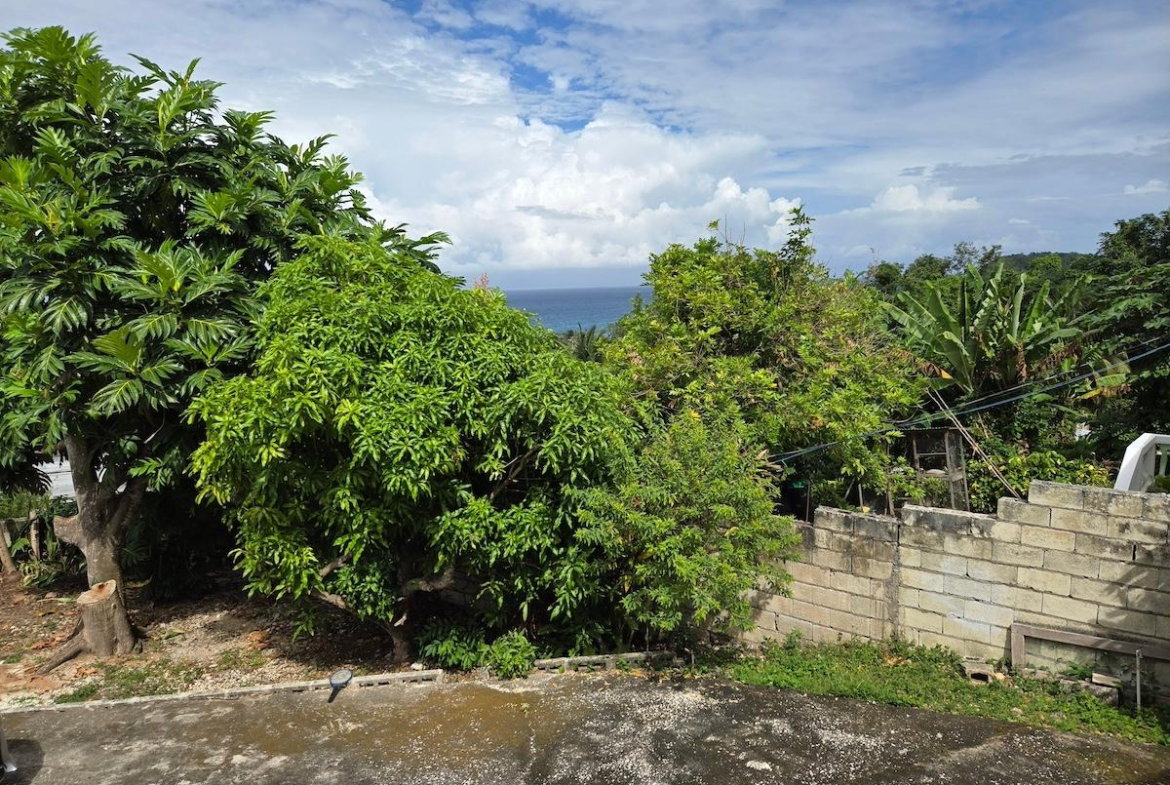 Sixteenth image of 5 Hopewell Hanover in Hopewell, Hanover, Jamaica - property is For Sale