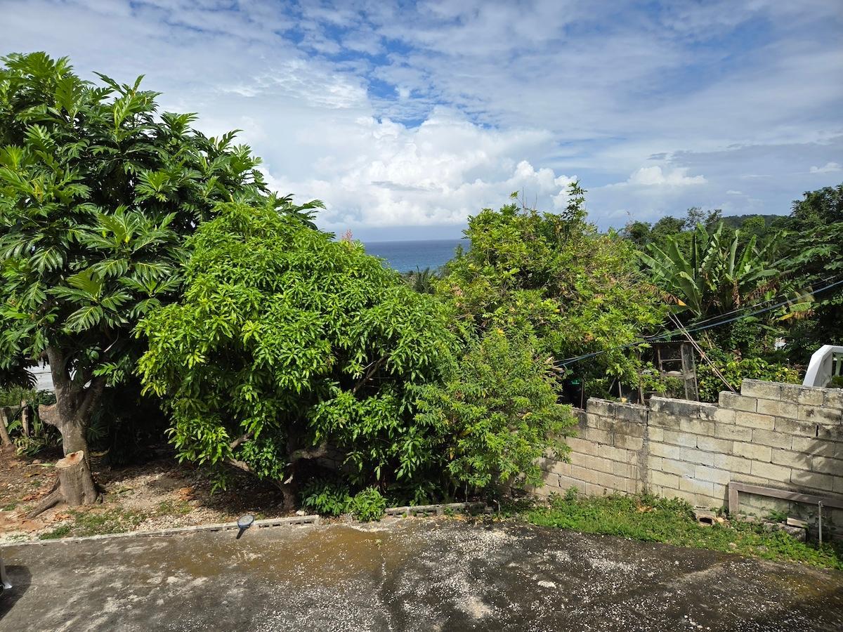 Sixteenth image of 5 Hopewell Hanover in Hopewell, Hanover, Jamaica - property is For Sale