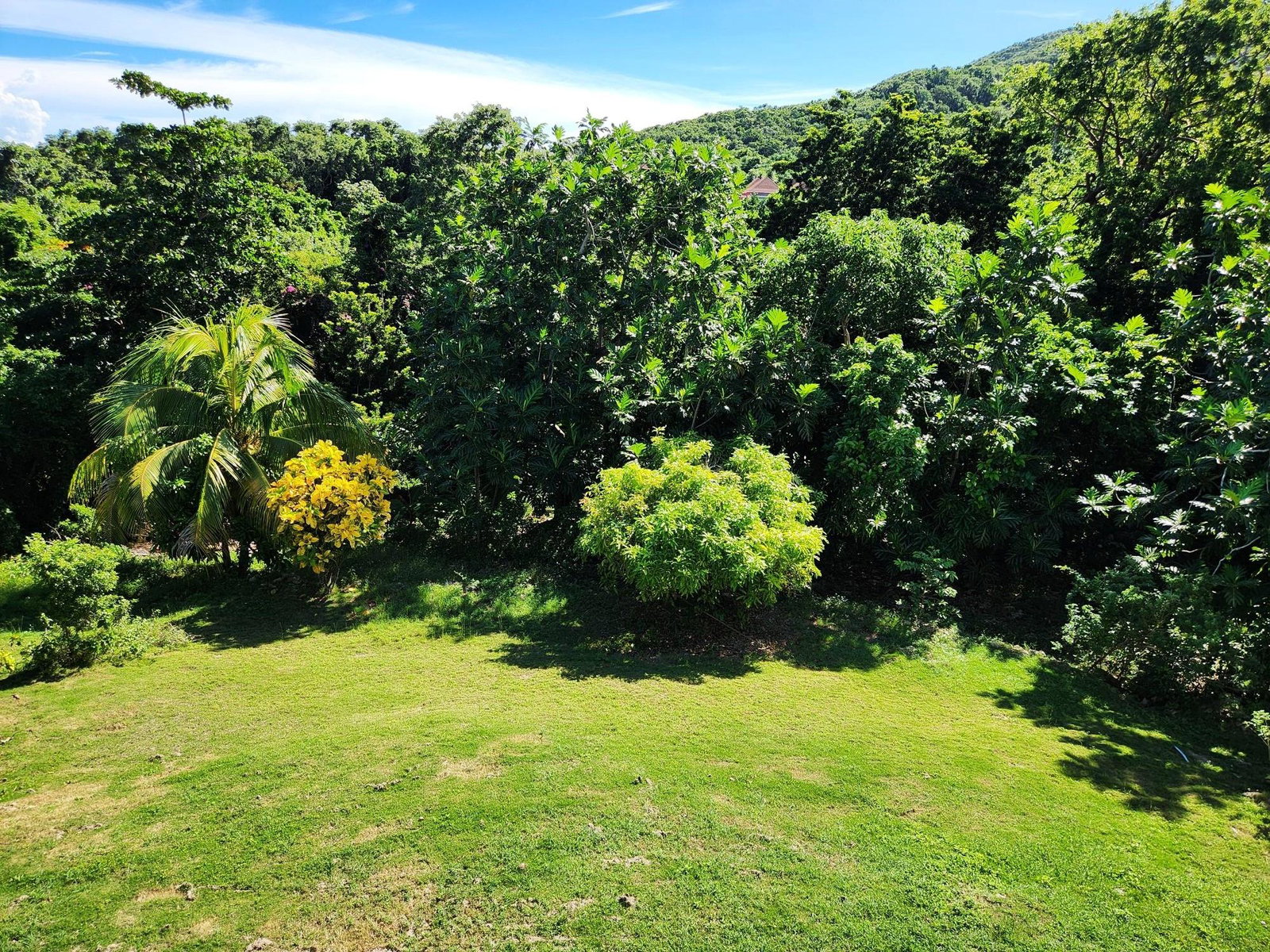 Twenty-Seventh image of 33 Seaview Ave, Torado Hgts in Ironshore, St. James, Jamaica - property is For Sale