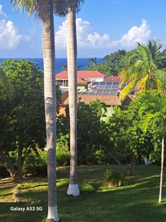 Fifth image of 1 Daniella Drive in Unity Hall, St. James, Jamaica - property is For Sale