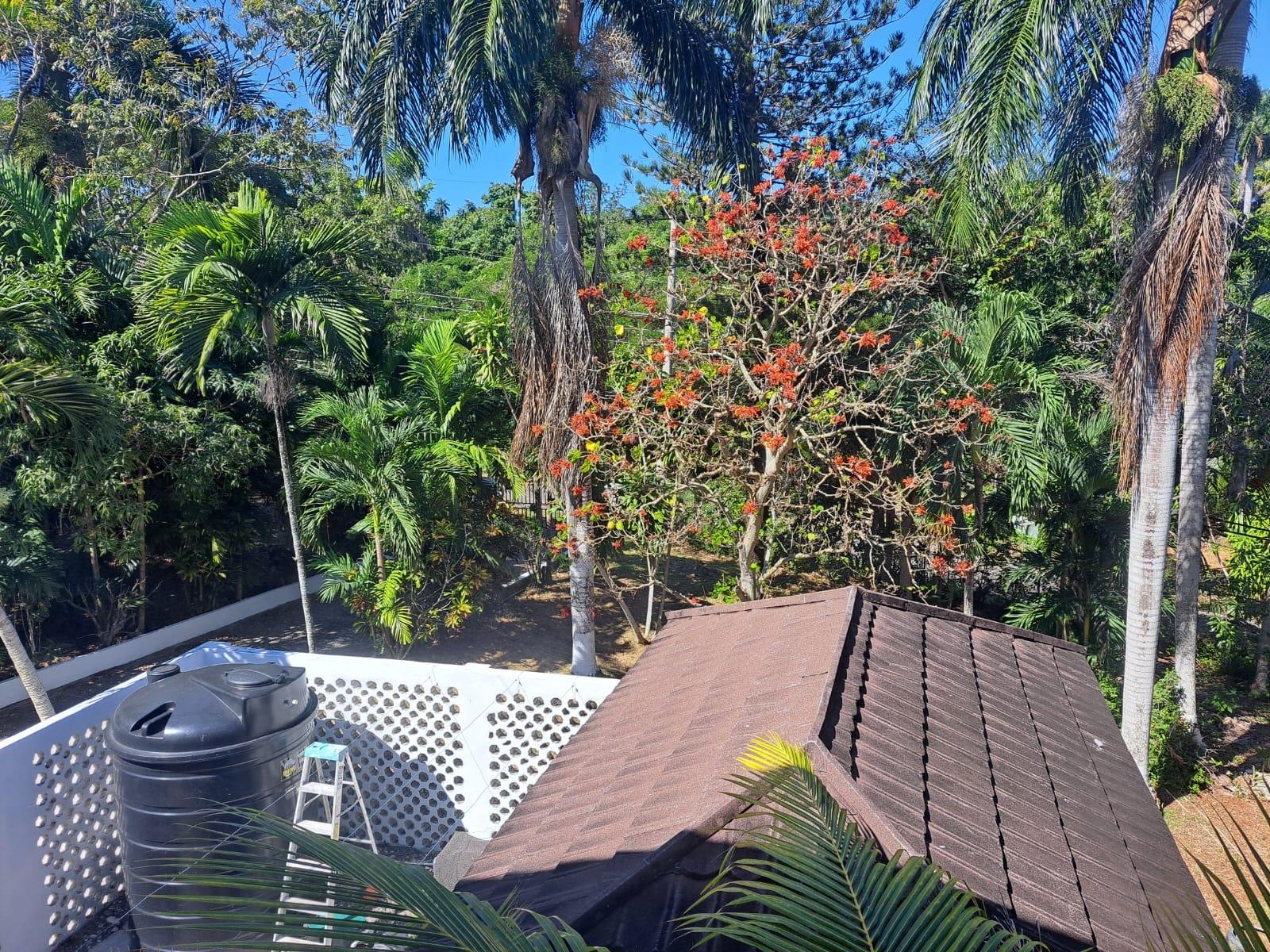 Sixth image of 1 Daniella Drive in Unity Hall, St. James, Jamaica - property is For Sale