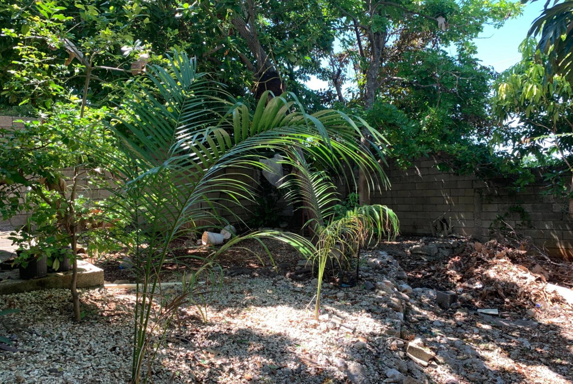 Twenty-Fourth image of 20 Norwood Boulevard in Norwood, St. James, Jamaica - property is For Sale