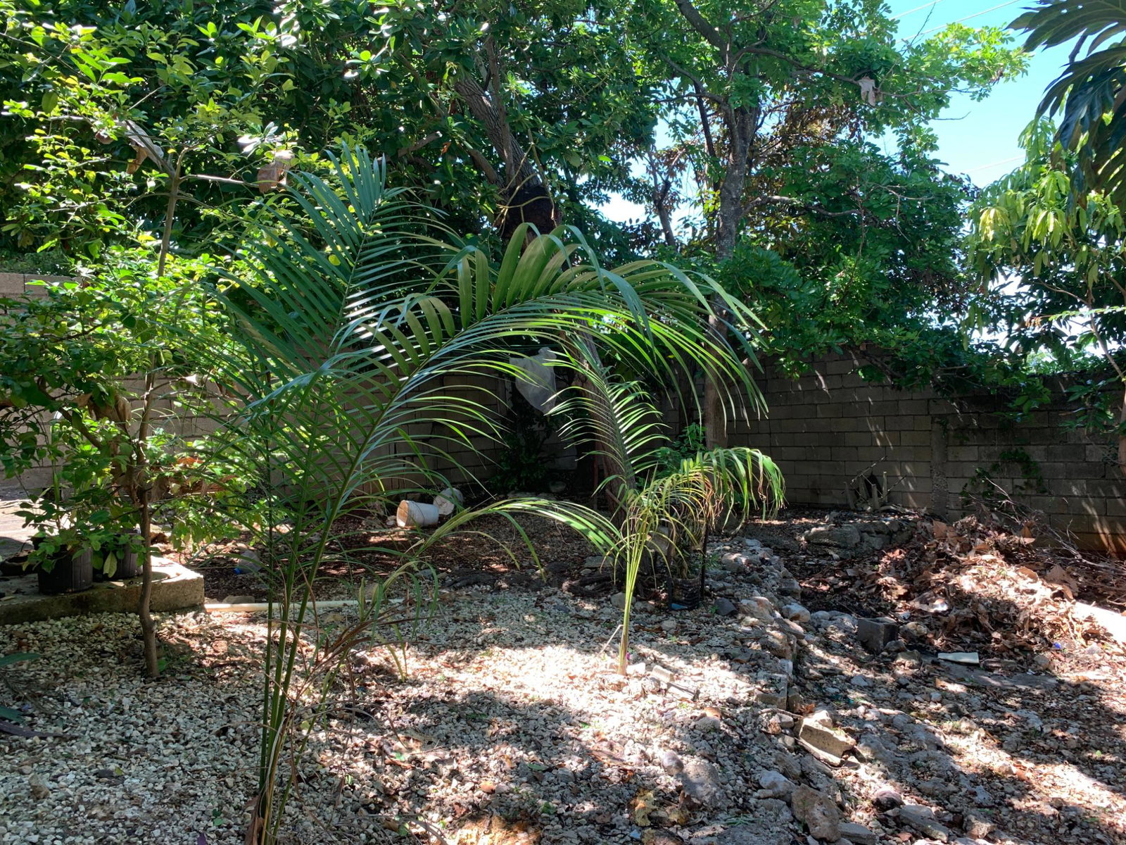 Twenty-Fourth image of 20 Norwood Boulevard in Norwood, St. James, Jamaica - property is For Sale