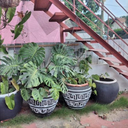 Fifteenth image of 3-14 Waterloo Avenue in Kingston 10, St. Andrew, Jamaica - property is For Sale
