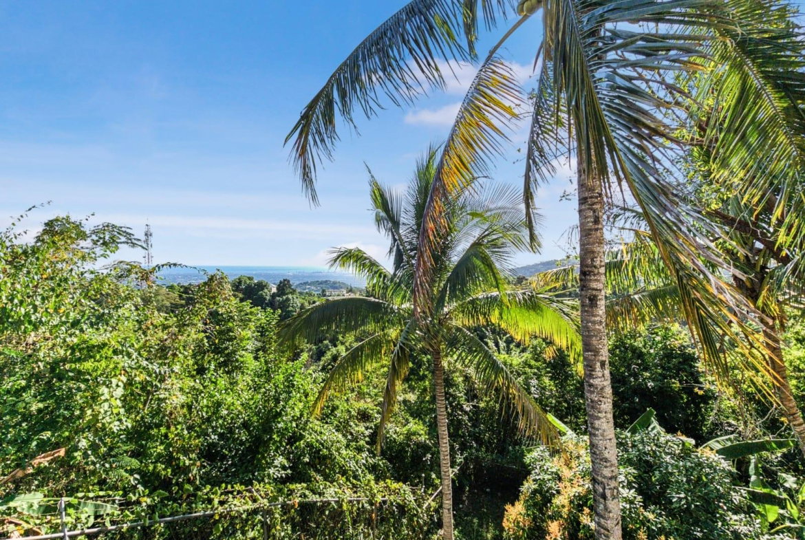 Twenty-Second image of 12 Highbury Road in Stony Hill P.O., St. Andrew, Jamaica - property is For Sale