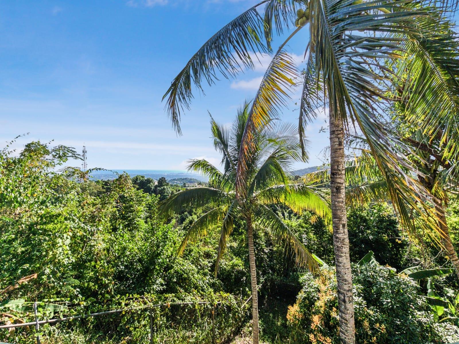 Twenty-Second image of 12 Highbury Road in Stony Hill P.O., St. Andrew, Jamaica - property is For Sale