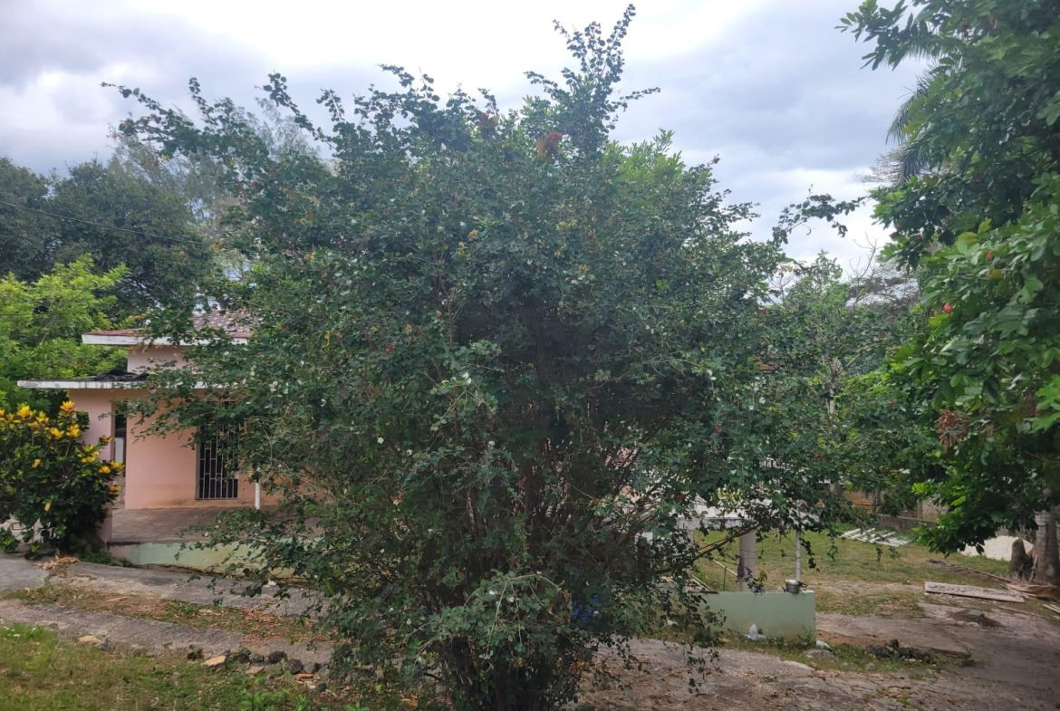 Third image of 21 Hart Boulevard, Paradise in Paradise Acres, St. James, Jamaica - property is For Sale