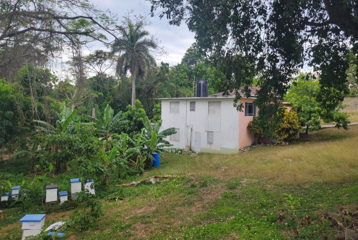 Fourth image of 21 Hart Boulevard, Paradise in Paradise Acres, St. James, Jamaica - property is For Sale