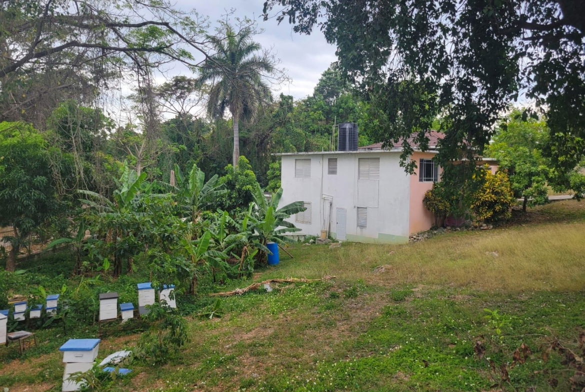 Sixth image of 21 Hart Boulevard, Paradise in Paradise Acres, St. James, Jamaica - property is For Sale