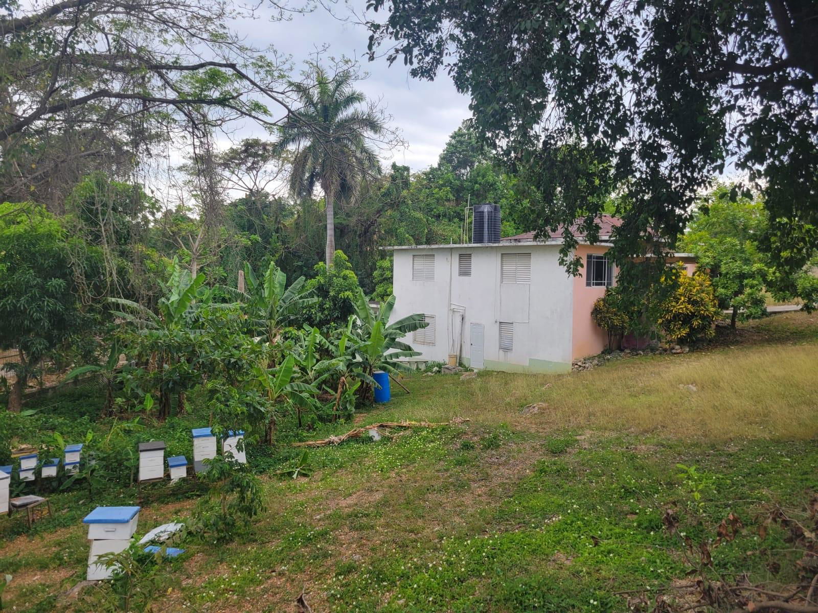 Sixth image of 21 Hart Boulevard, Paradise in Paradise Acres, St. James, Jamaica - property is For Sale