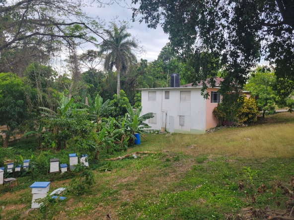 Sixth image of 21 Hart Boulevard, Paradise in Paradise Acres, St. James, Jamaica - property is For Sale