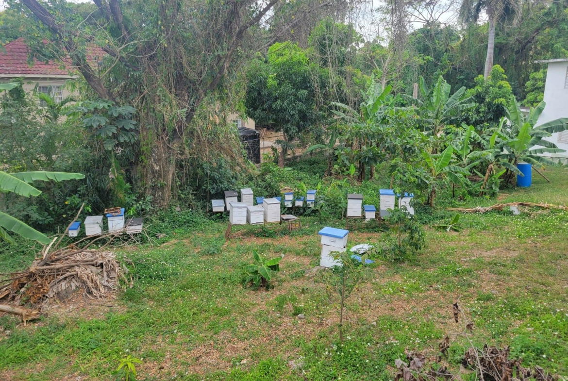 Eighth image of 21 Hart Boulevard, Paradise in Paradise Acres, St. James, Jamaica - property is For Sale