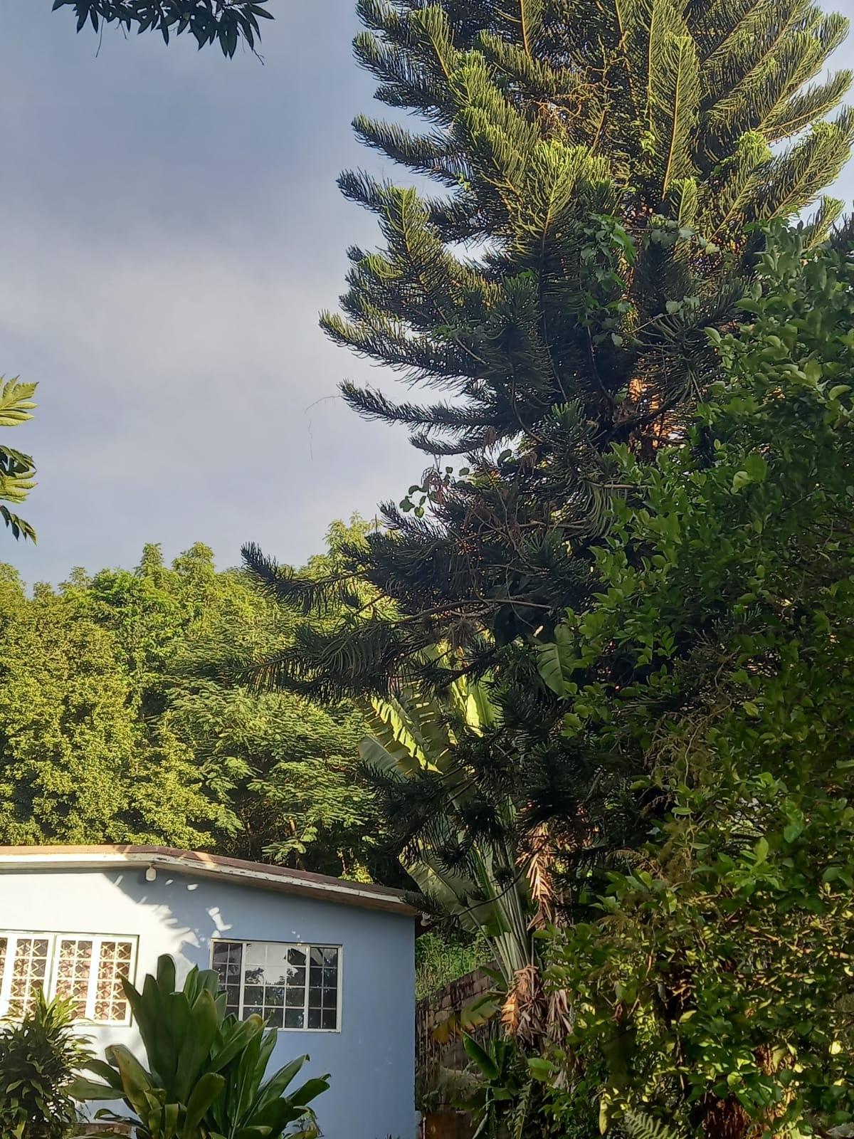Third image of Lot 4, 8b Belvedere Drive in Red Hills, St. Andrew, Jamaica - property is For Sale