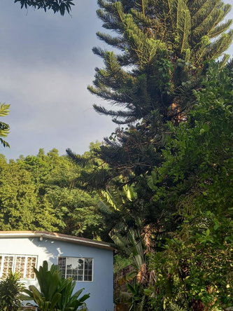 Third image of Lot 4, 8b Belvedere Drive in Red Hills, St. Andrew, Jamaica - property is For Sale