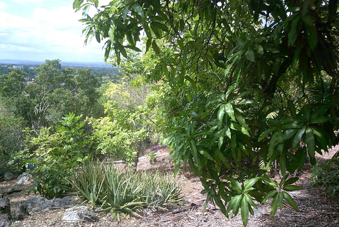 Twelfth image of Twickenham Avenue in St. Jago Heights, St. Catherine, Jamaica - property is For Sale
