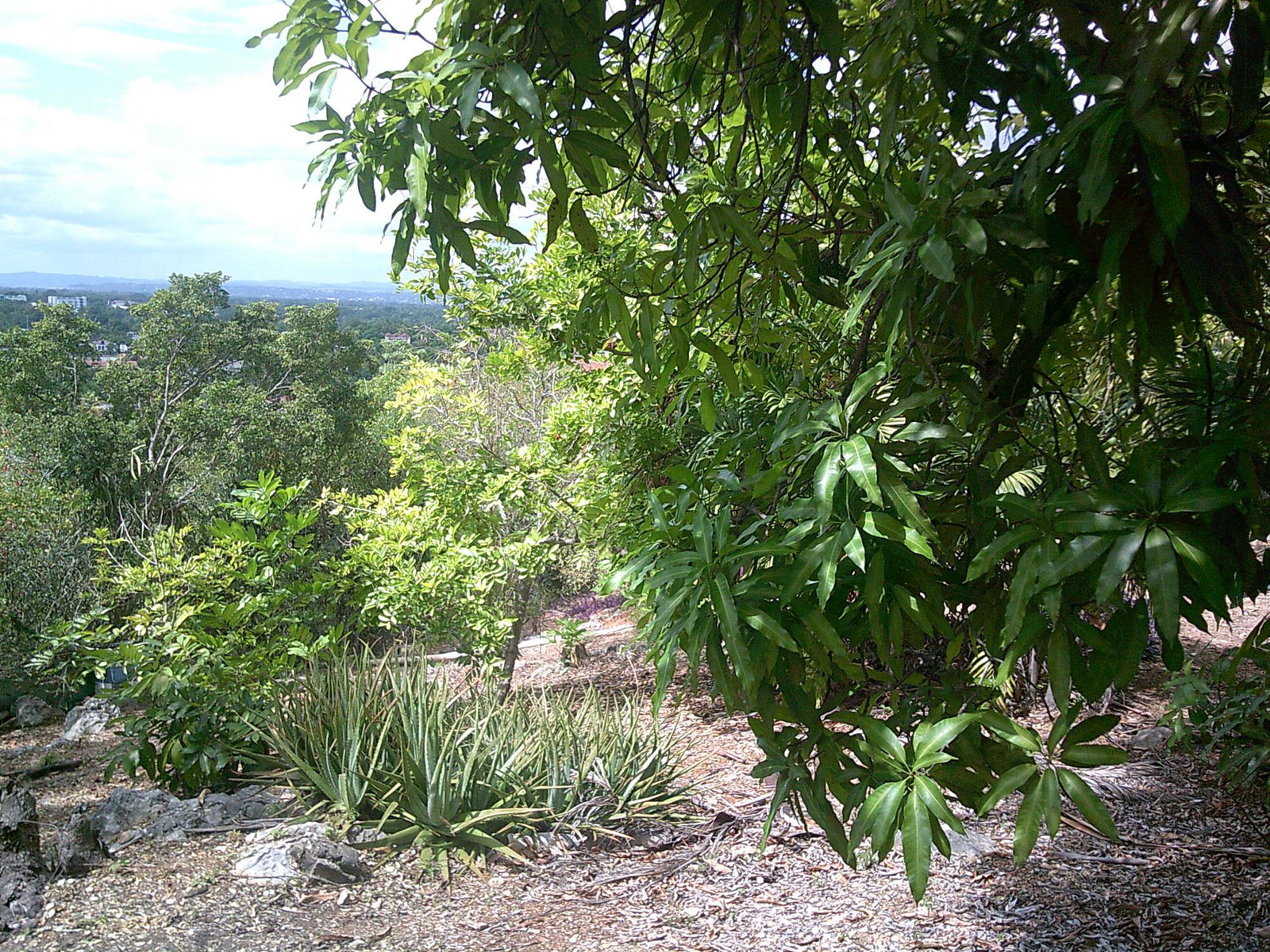 Twelfth image of Twickenham Avenue in St. Jago Heights, St. Catherine, Jamaica - property is For Sale