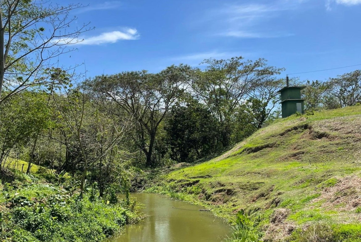 Sixth image of Rothsey Cove Harding Hall in Green Island, Hanover, Jamaica - property is For Sale
