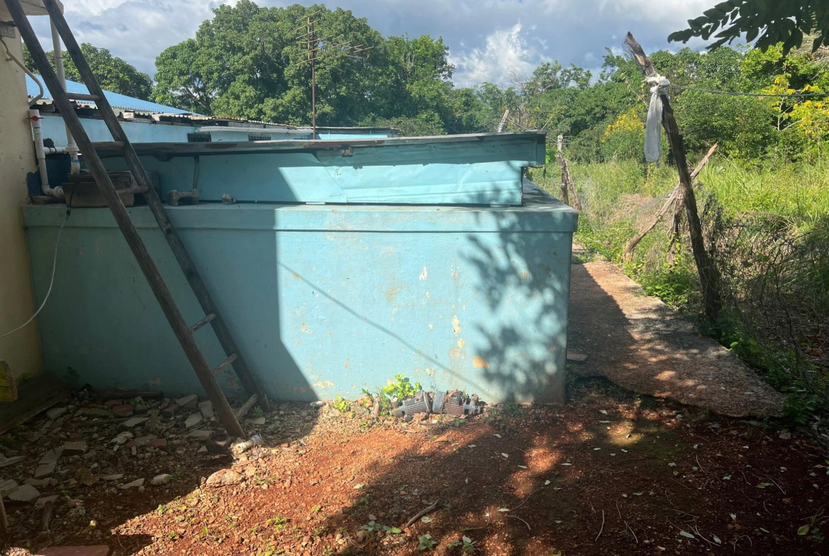 Thirteenth image of Farm , Junction, st Eliza in Junction, St. Elizabeth, Jamaica - property is For Sale