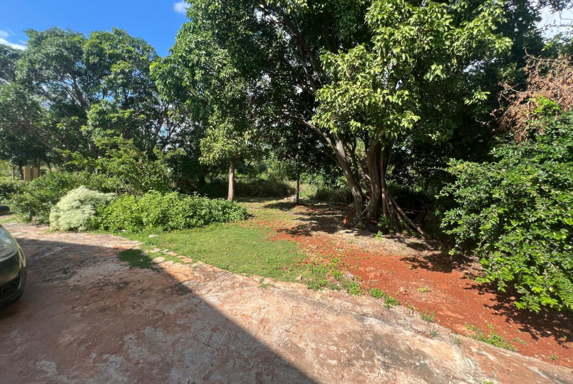 Fifteenth image of Farm , Junction, st Eliza in Junction, St. Elizabeth, Jamaica - property is For Sale