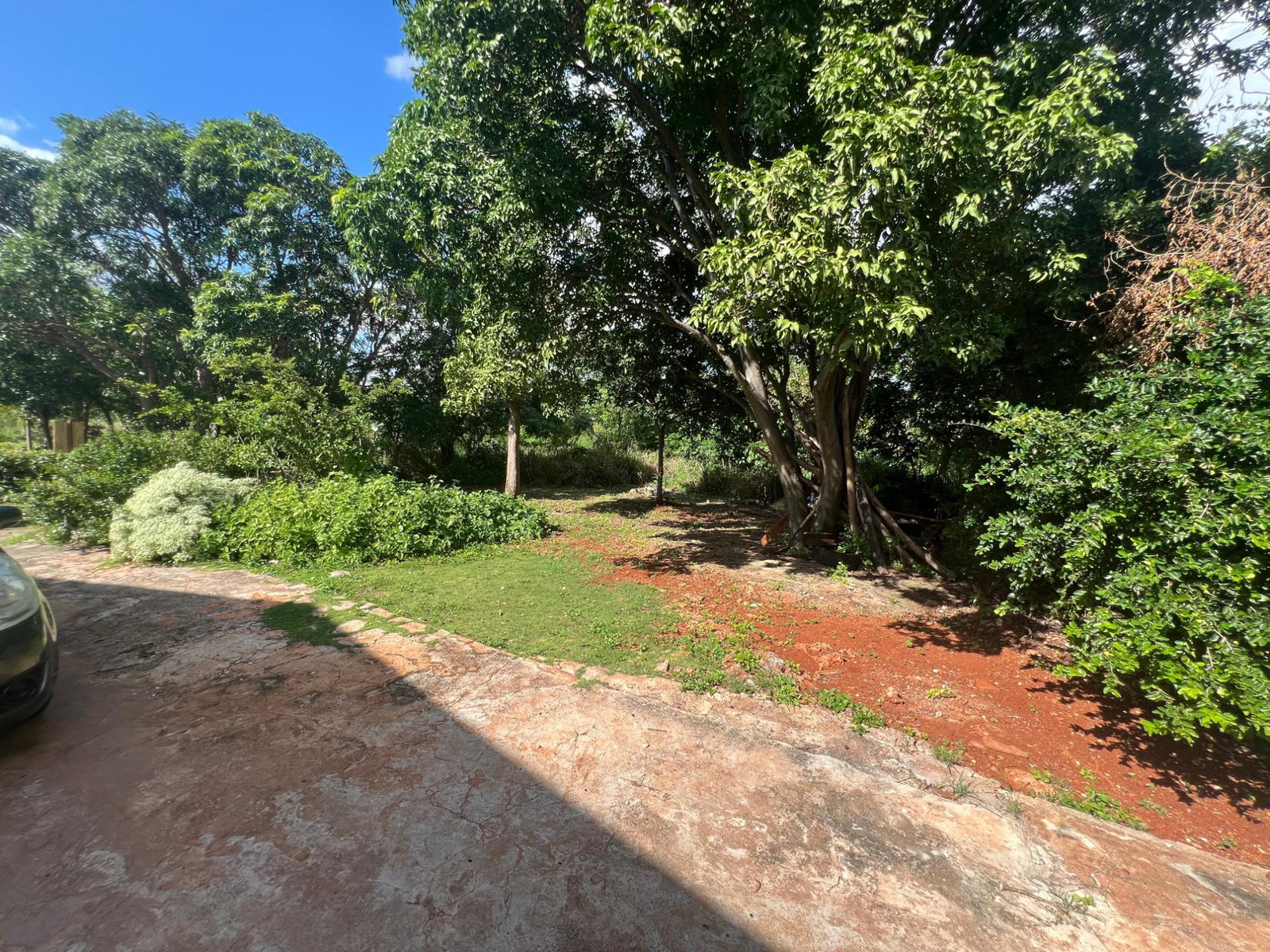 Fifteenth image of Farm , Junction, st Eliza in Junction, St. Elizabeth, Jamaica - property is For Sale