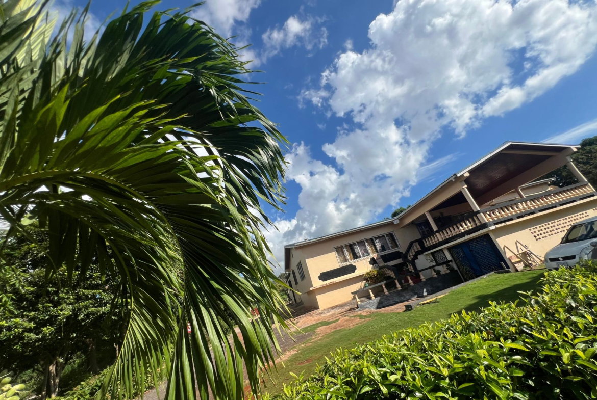 Sixteenth image of Farm , Junction, st Eliza in Junction, St. Elizabeth, Jamaica - property is For Sale