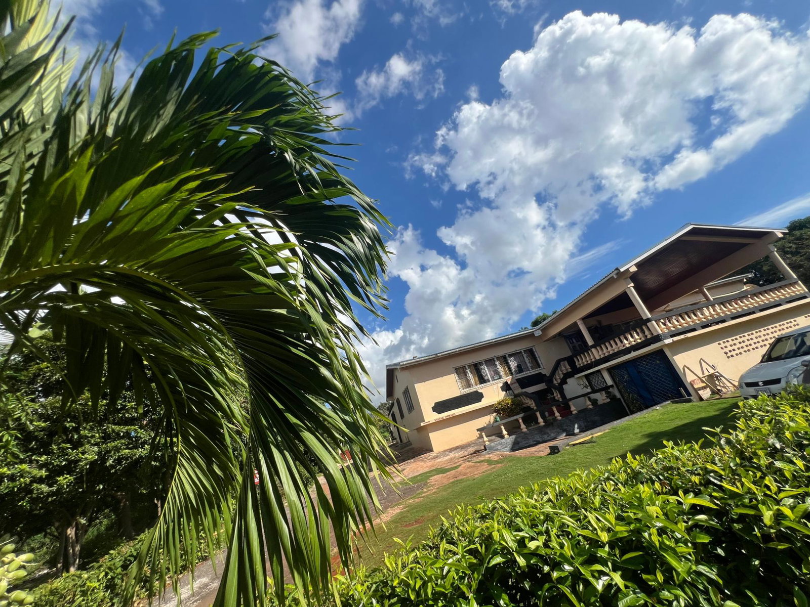 Sixteenth image of Farm , Junction, st Eliza in Junction, St. Elizabeth, Jamaica - property is For Sale