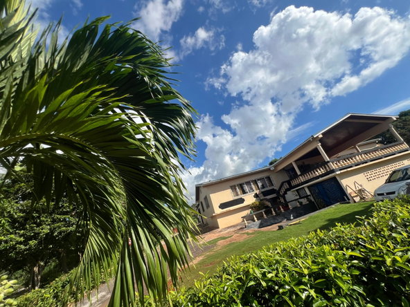 Sixteenth image of Farm , Junction, st Eliza in Junction, St. Elizabeth, Jamaica - property is For Sale