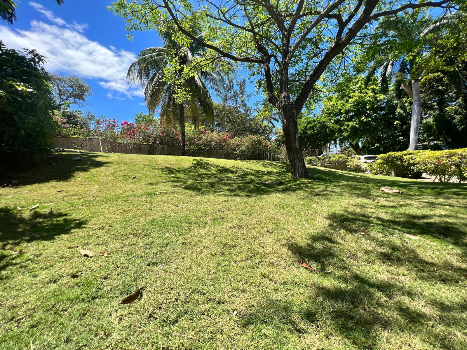 Twenty-Ninth image of 70 Mahogany Road in Montego Bay, St. James, Jamaica - property is For Sale