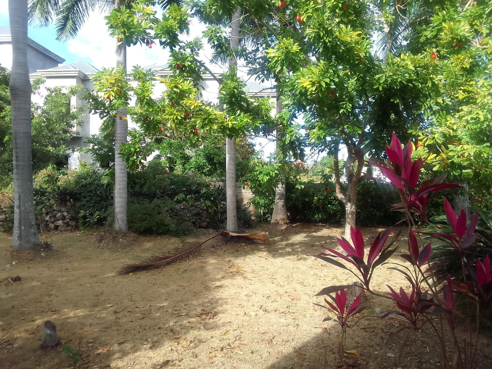 Sixteenth image of 25b-dairy Road Discovery Bay st Ann in Discovery Bay, St. Ann, Jamaica - property is For Sale