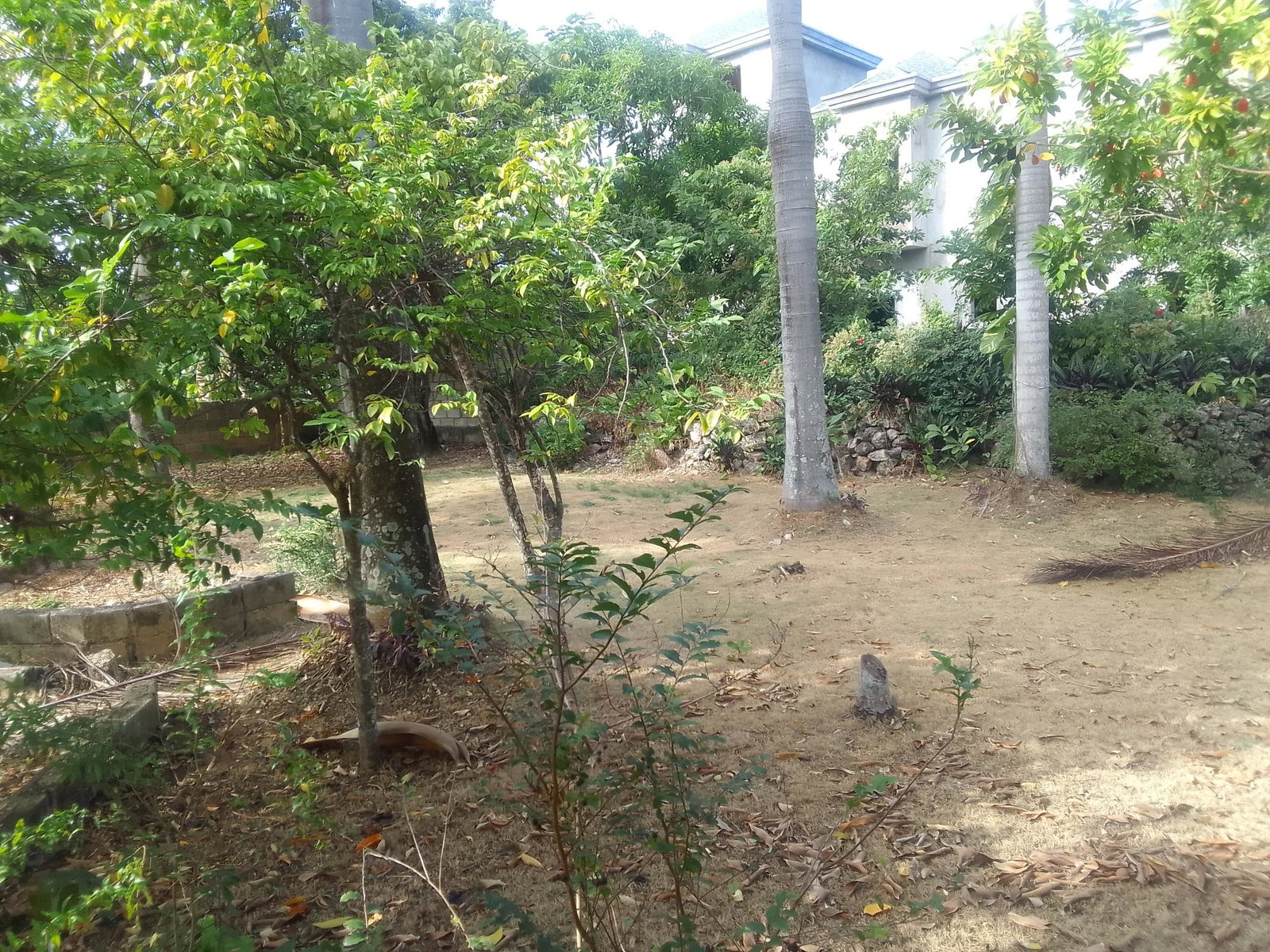 Tenth image of 25b-dairy Road Discovery Bay st Ann in Discovery Bay, St. Ann, Jamaica - property is For Sale