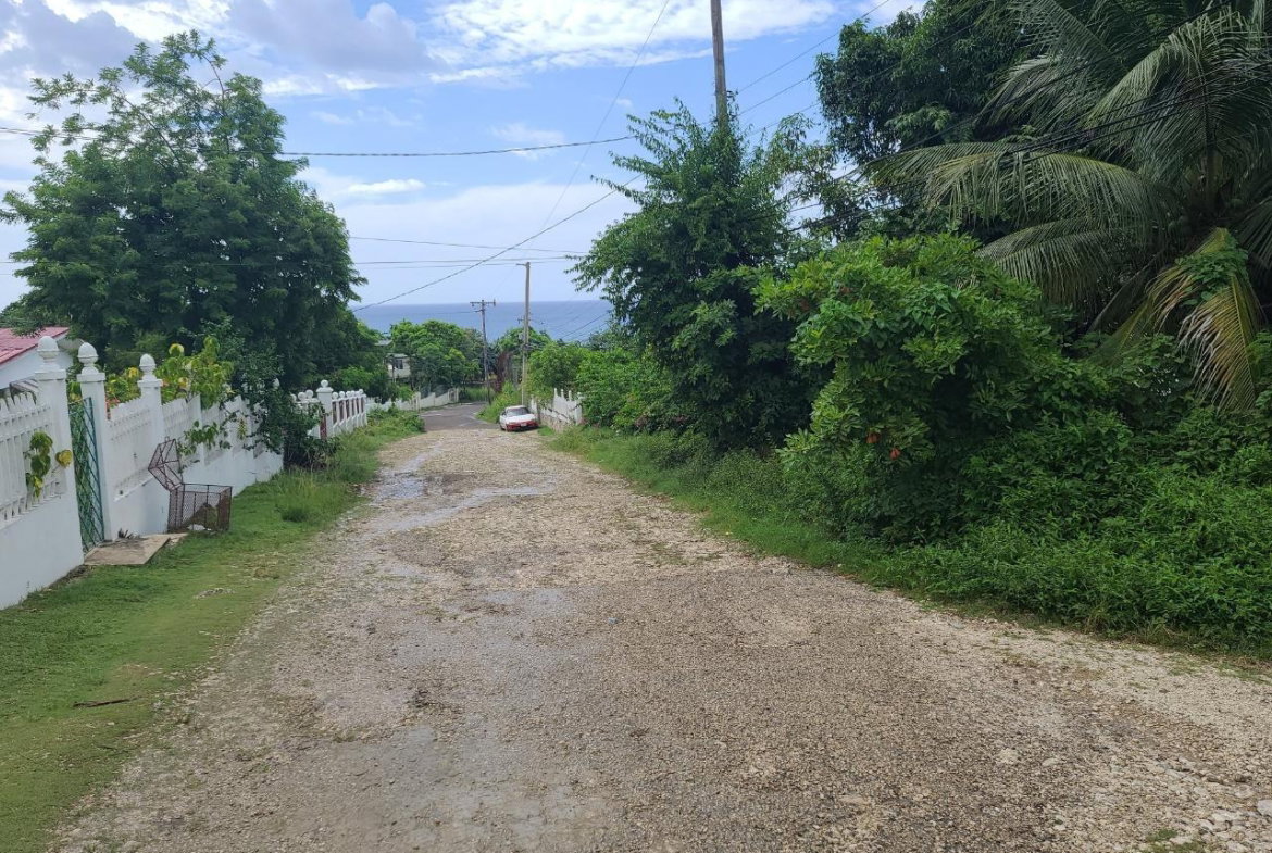 Thirteenth image of Pond Piece, Hopewell in Hopewell, Hanover, Jamaica - property is For Sale