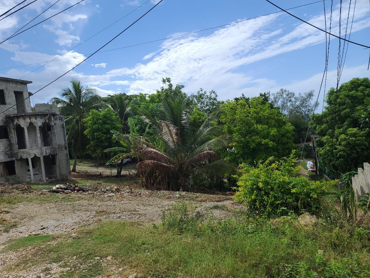 Fourteenth image of Pond Piece, Hopewell in Hopewell, Hanover, Jamaica - property is For Sale