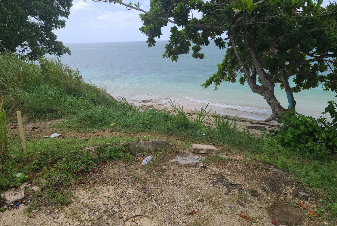 Twenty-Third image of Pond Piece, Hopewell in Hopewell, Hanover, Jamaica - property is For Sale