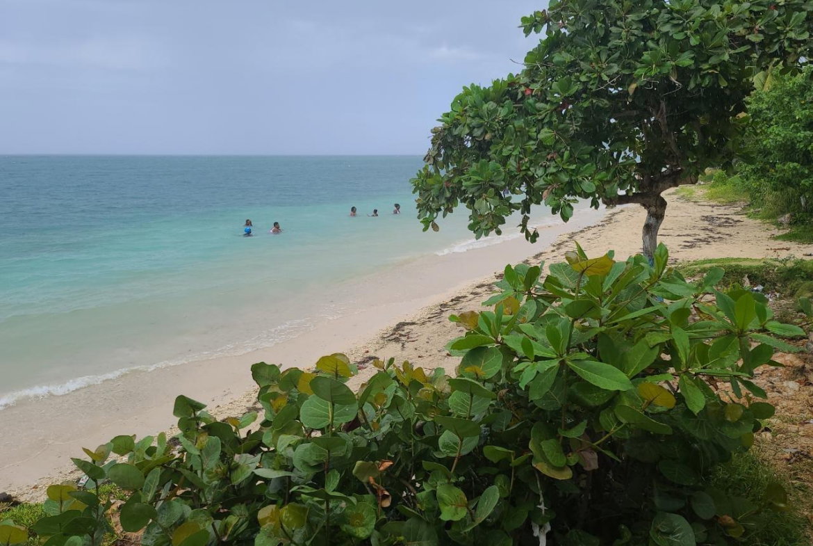 Sixth image of Pond Piece, Hopewell in Hopewell, Hanover, Jamaica - property is For Sale