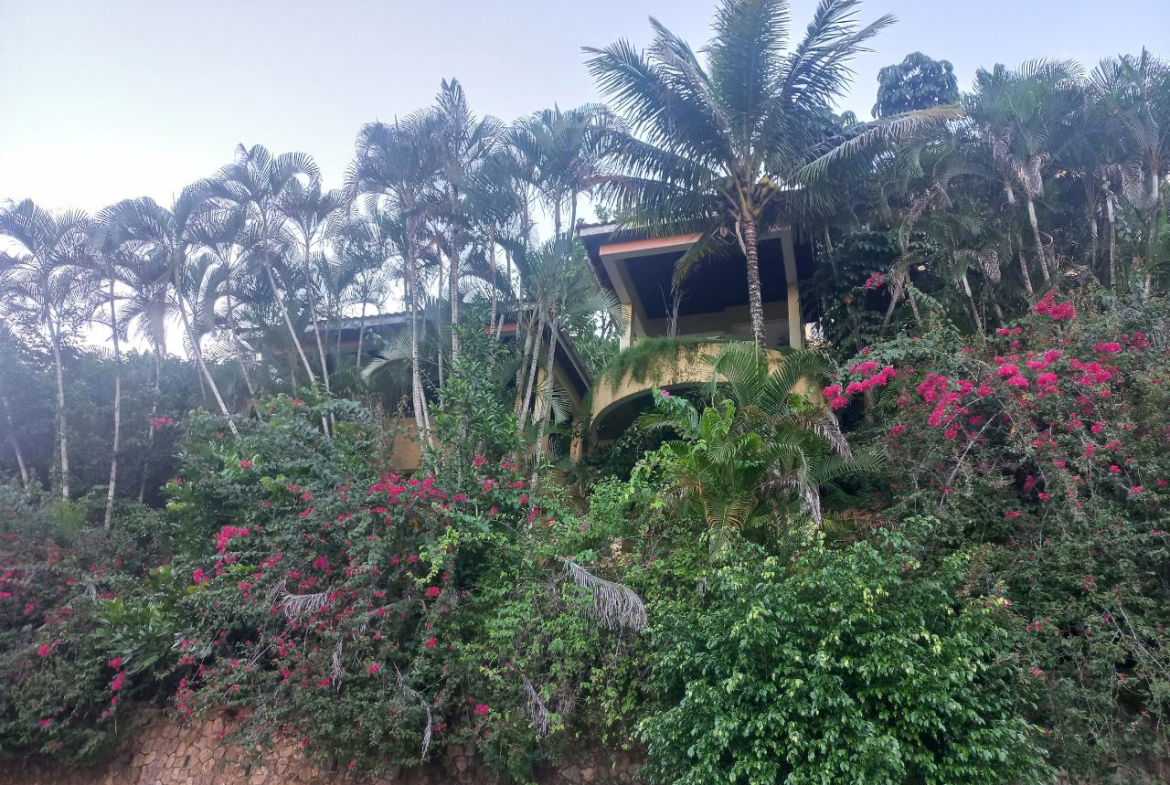 Fourth image of 11 Wedmore Rise in Kingston 9, St. Andrew, Jamaica - property is For Sale