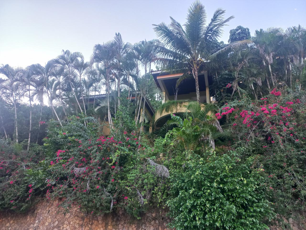 Fourth image of 11 Wedmore Rise in Kingston 9, St. Andrew, Jamaica - property is For Sale