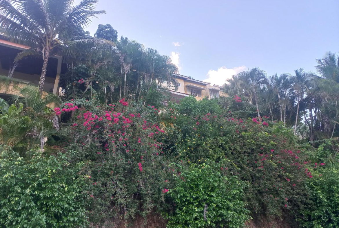 Fifth image of 11 Wedmore Rise in Kingston 9, St. Andrew, Jamaica - property is For Sale