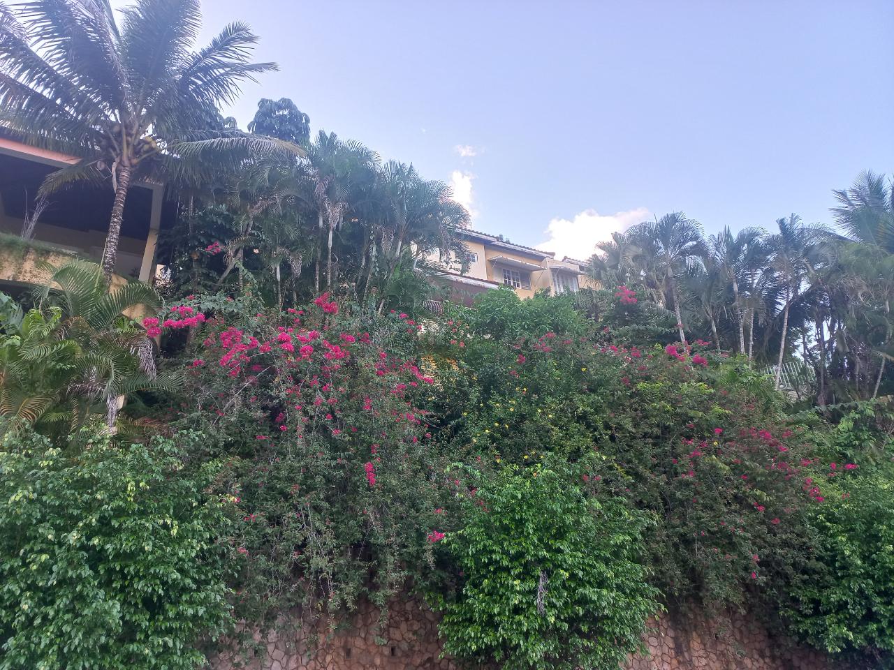 Fifth image of 11 Wedmore Rise in Kingston 9, St. Andrew, Jamaica - property is For Sale