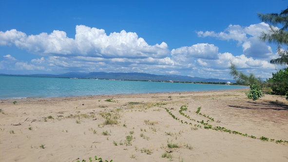 Twentieth image of 57 Fullerswood in Black River, St. Elizabeth, Jamaica - property is For Sale