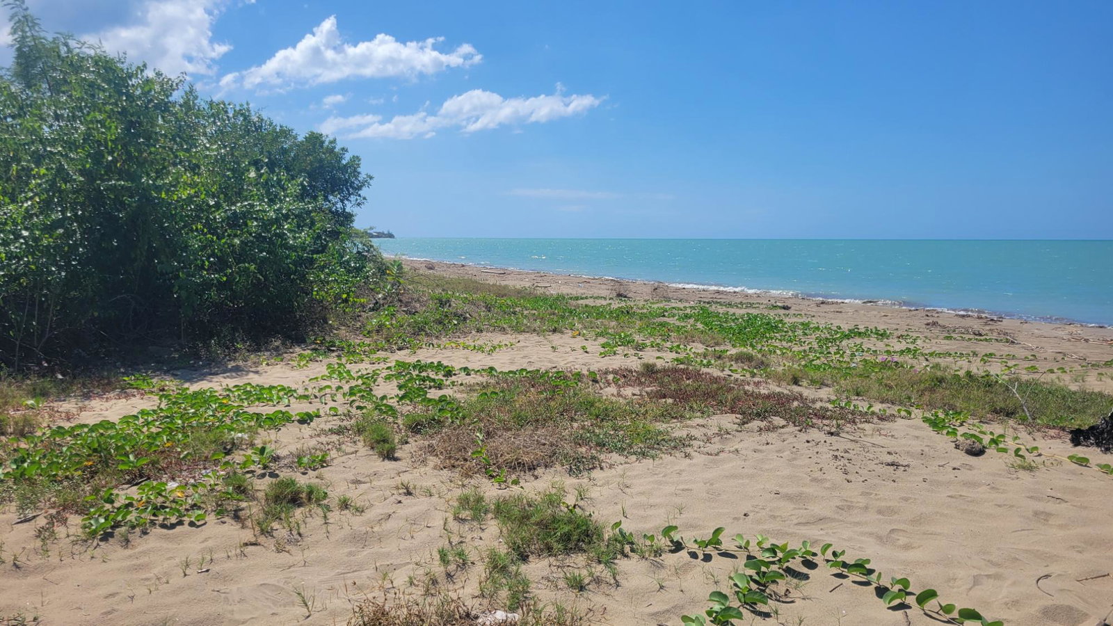 Twenty-Second image of 57 Fullerswood in Black River, St. Elizabeth, Jamaica - property is For Sale
