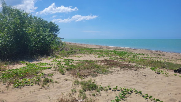 Twenty-Second image of 57 Fullerswood in Black River, St. Elizabeth, Jamaica - property is For Sale