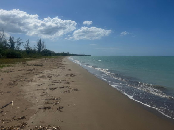 First image of 57 Fullerswood in Black River, St. Elizabeth, Jamaica - property is For Sale